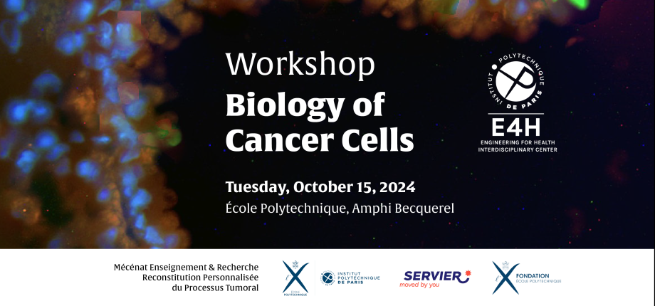 Workshop Biology of Cancer Cells 2024