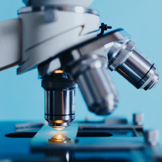 Master Year 2 in Biology, Biotechnology and Health